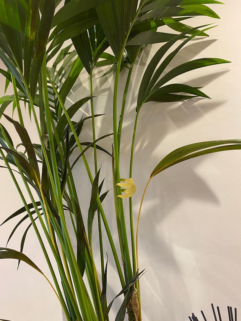 $variable({"type":"content","value":{"name":"post_title","settings":{"before":"","after":""}}})$